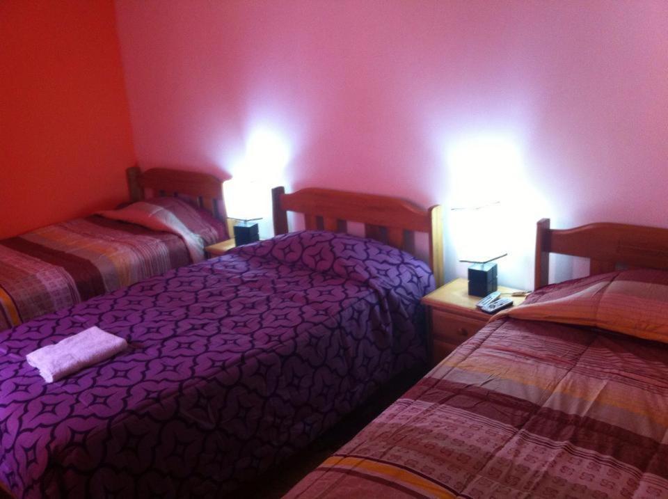Hostal Luren Nazca Oda fotoğraf